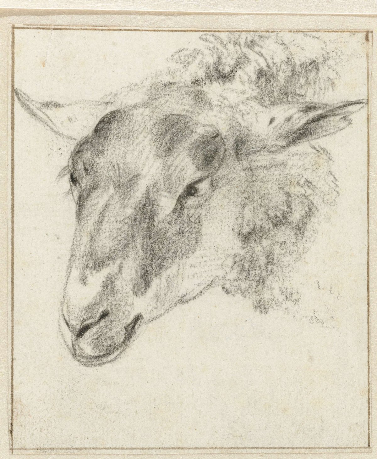 Sheep's head, slightly from above and from the side, Adriaen van de Velde, 1646 - 1672