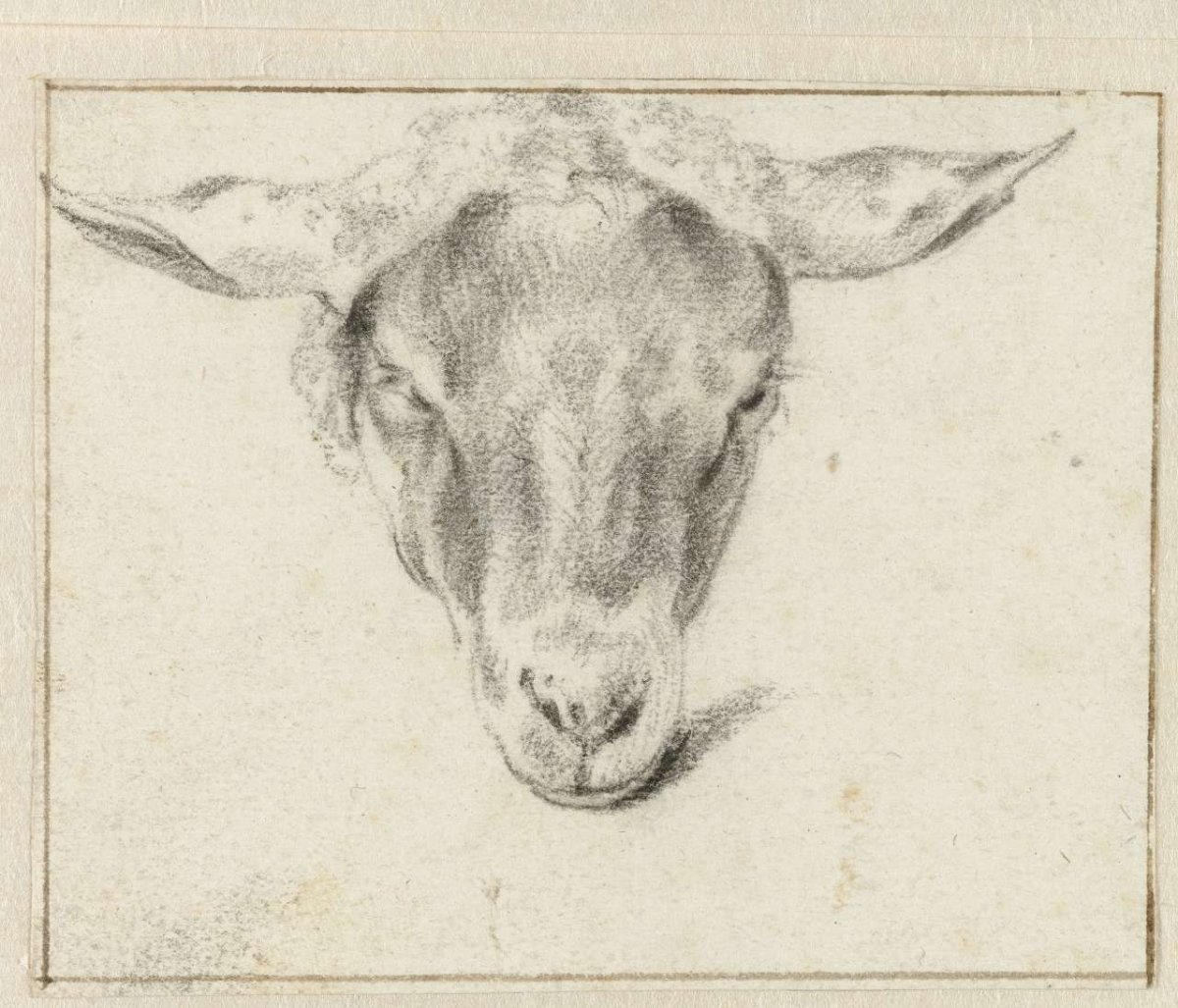 Sheep's head, from the front, Adriaen van de Velde, 1646 - 1672