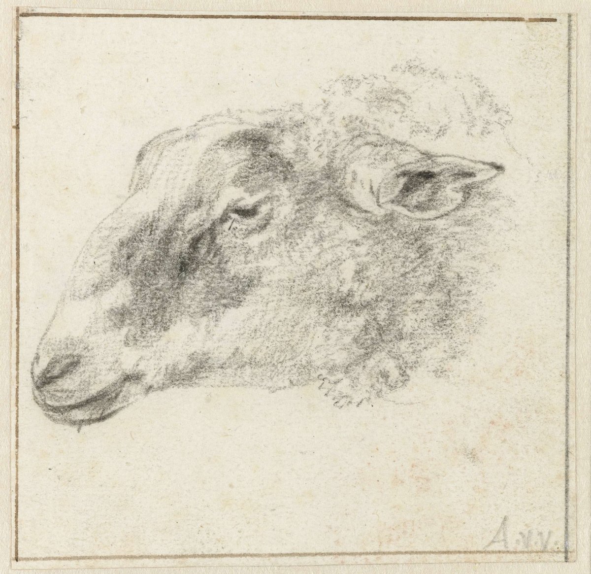 Sheep's head, from the side, Adriaen van de Velde, 1646 - 1672