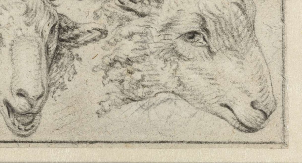 Two sheep's heads, Adriaen van de Velde, 1646 - 1672