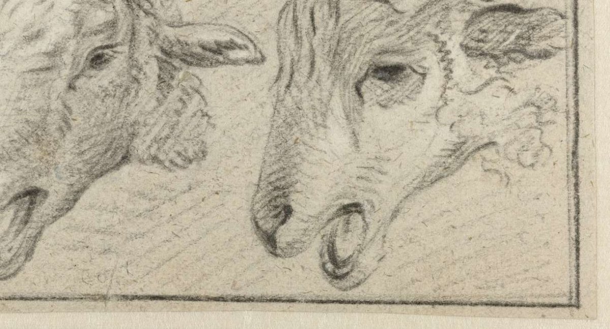 Two sheep's heads, Adriaen van de Velde, 1646 - 1672