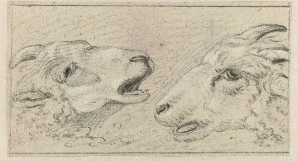 Two sheep's heads, Adriaen van de Velde, 1646 - 1672