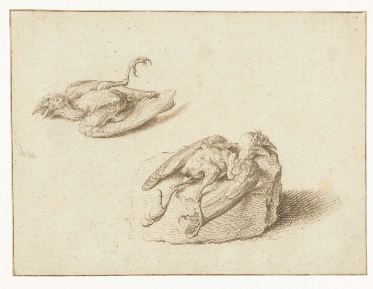 Two Studies of a Dead Bird, Jacques de Gheyn (II), 1575 - 1625