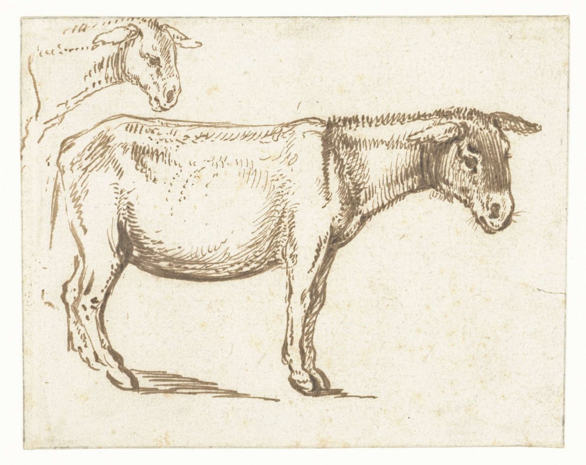 Study of a Standing Donkey, Jacques de Gheyn (III), after c. 1615 - before c. 1634