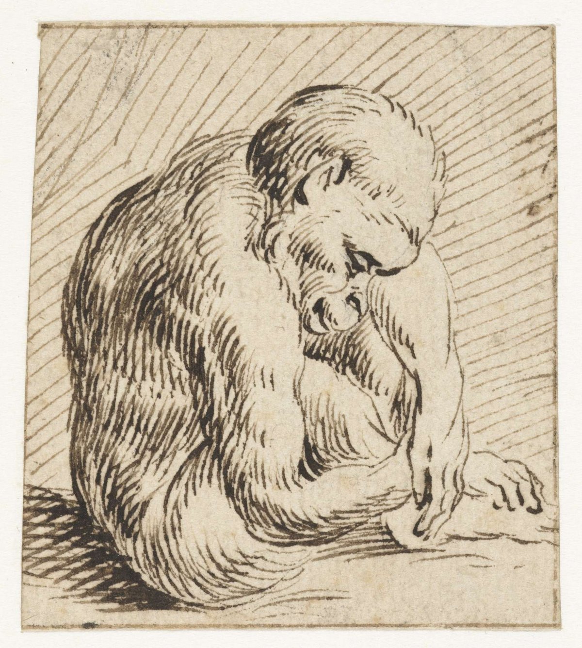 Slapend jong aapje, anonymous, 1567 - 1617