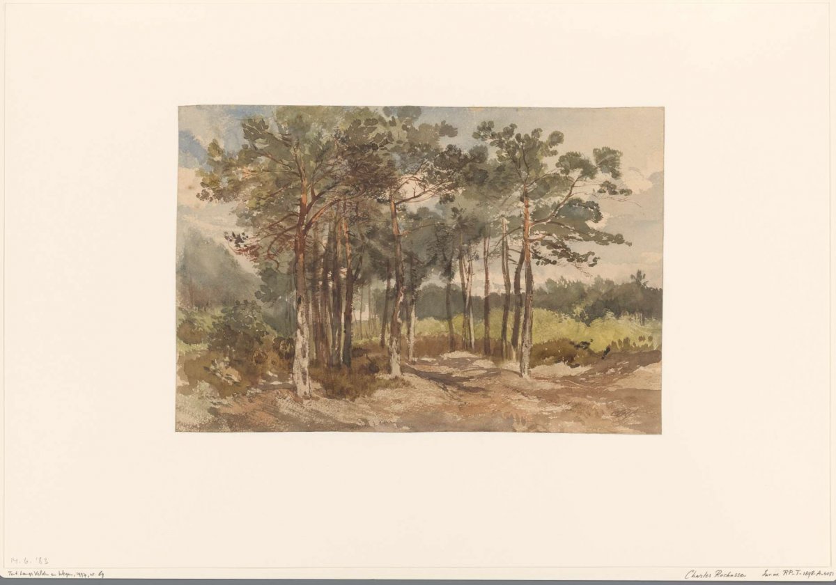 Tree group in the woods near Driebergen, Charles Rochussen, c. 1855 - c. 1865