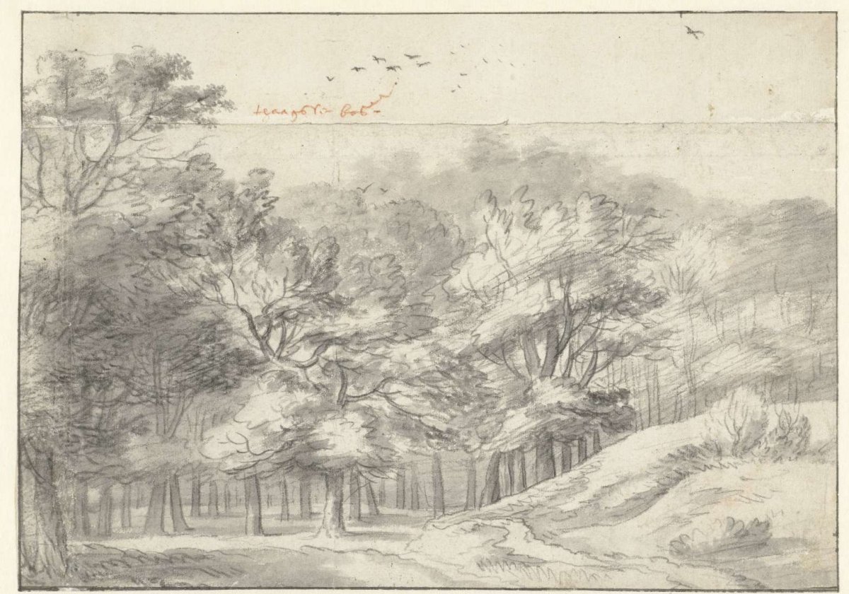 View in the Haagse Bos, Roelant Roghman, c. 1650