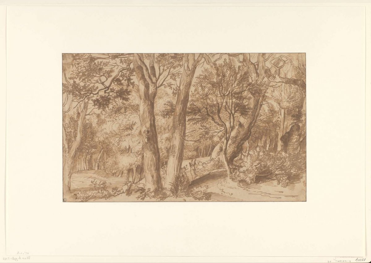 Forest landscape with a deer, Jan Lievens, 1650 - 1669