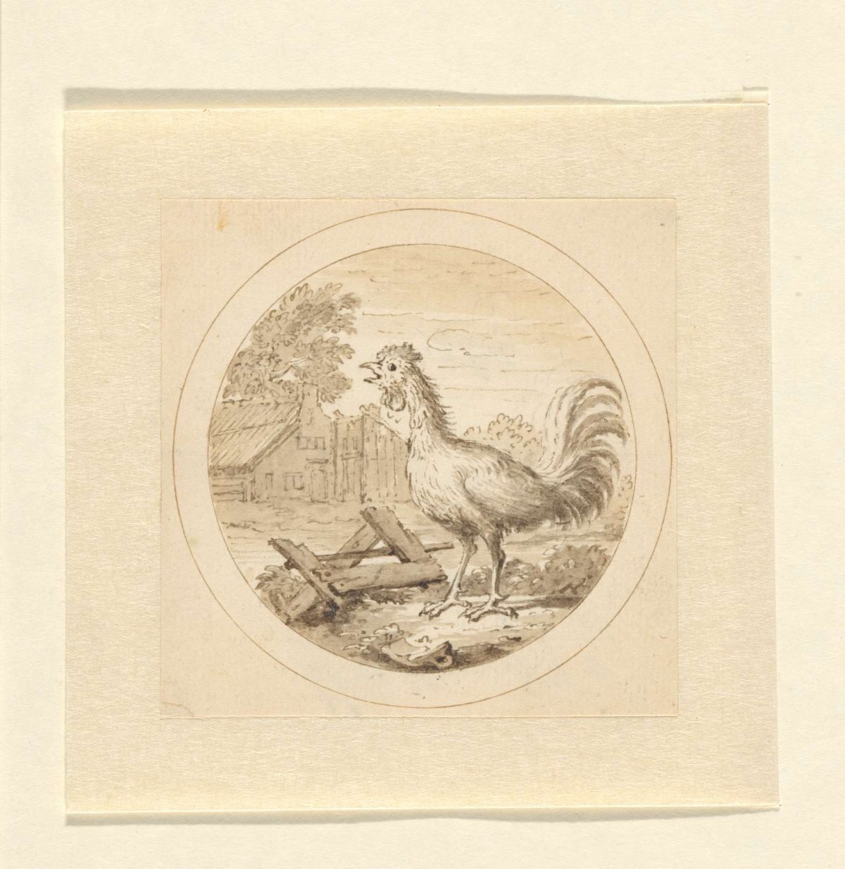 The Rooster, Arnold Houbraken, 1670 - 1719