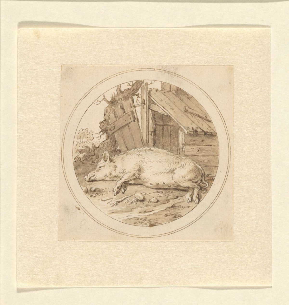 The Boar, Arnold Houbraken, 1670 - 1719