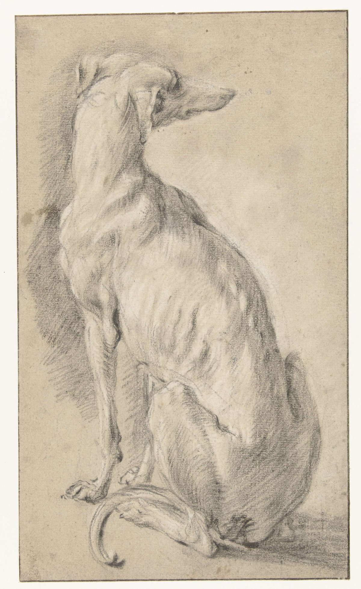 A sitting dog, seen from behind, Frans Snijders, 1589 - 1657