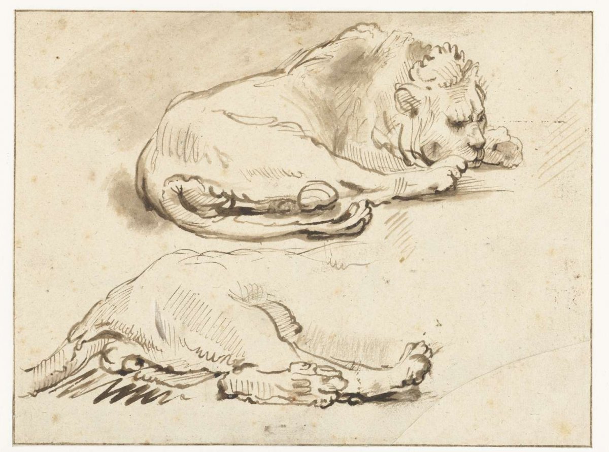 Lion at Rest and Sketch of its Hind Quarters, anonymous, after c. 1650 - 1699