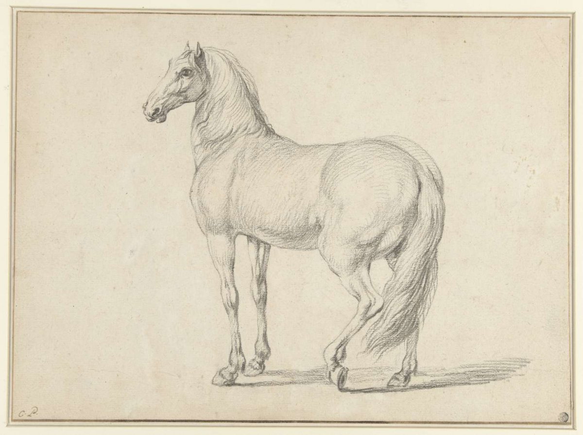 Unsaddled horse, to the left, Charles Parrocel, 1698 - 1752