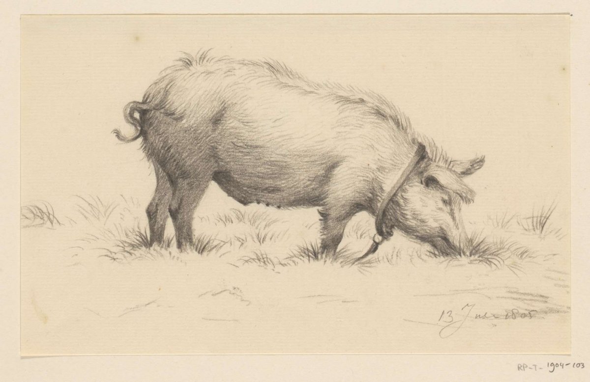 Standing watering pig, to the right, in the grass, Jean Bernard, 1805