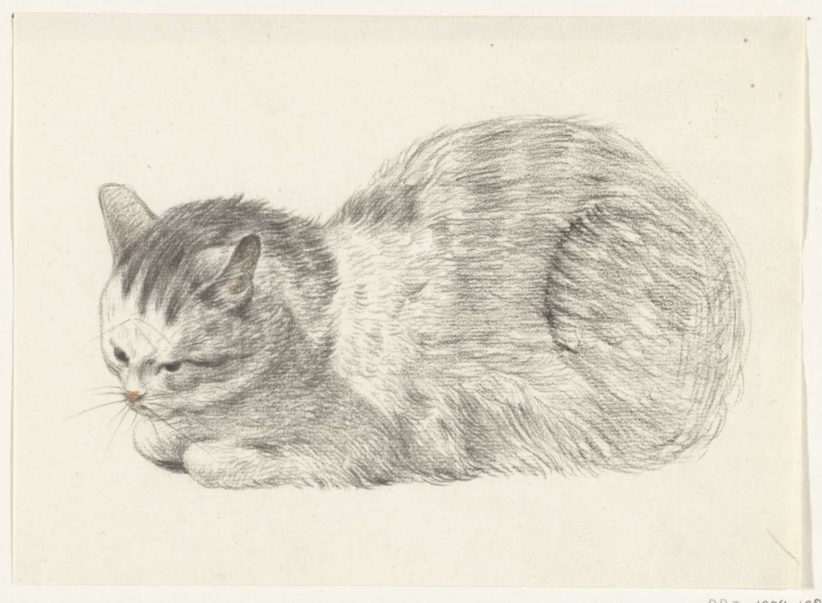 Reclining cat, to the left, Jean Bernard, 1775 - 1833