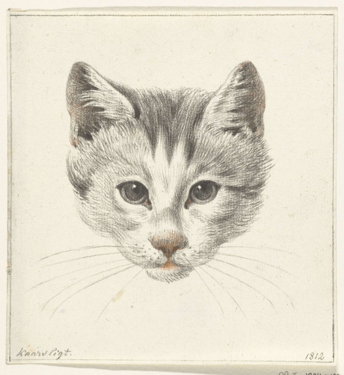 Head of a cat, seen from the front by candlelight, Jean Bernard, 1812