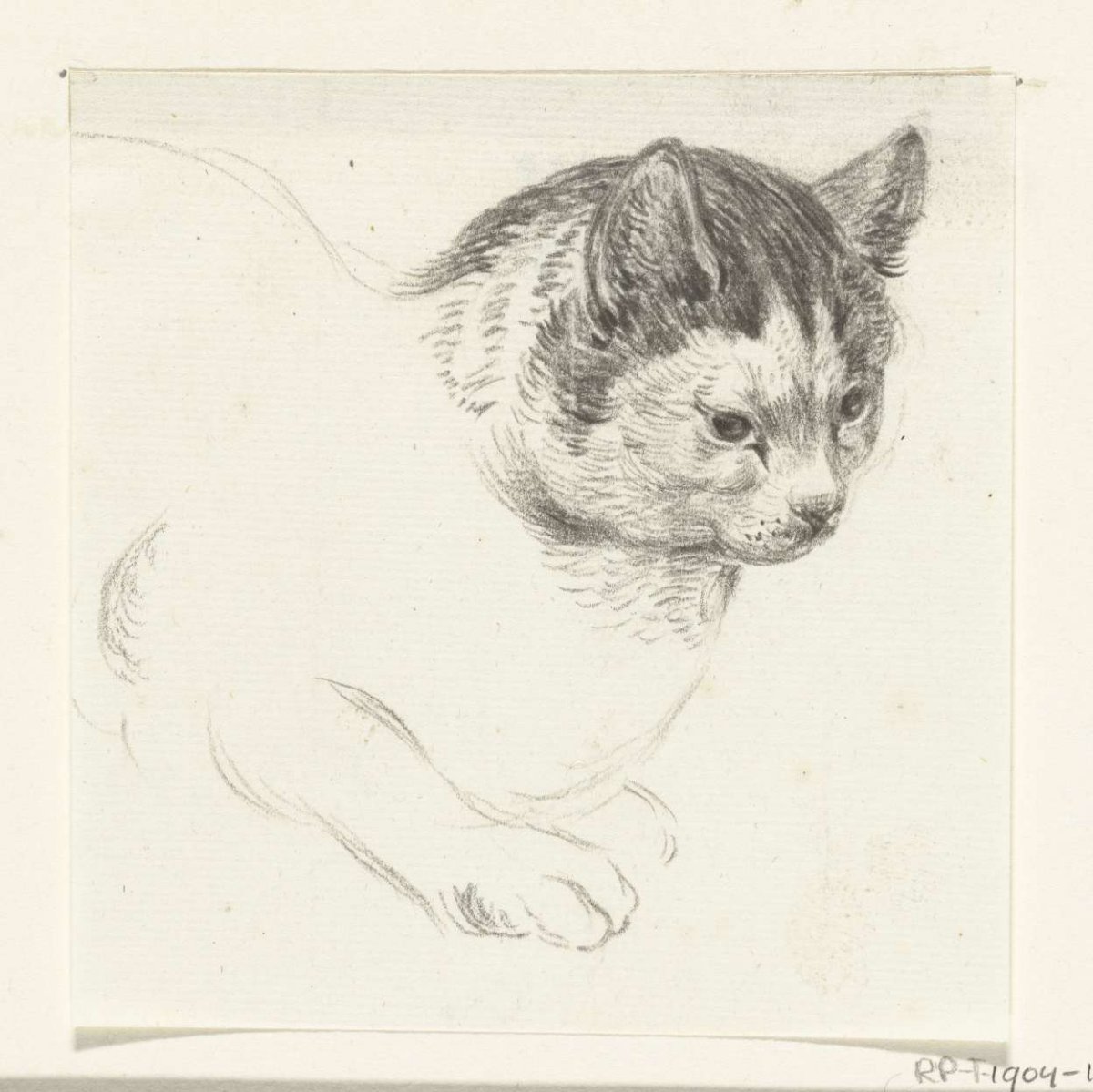 Reclining cat, to the right, Jean Bernard, 1775 - 1833