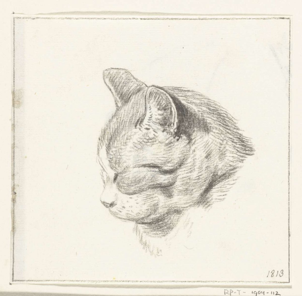 Head of a cat, to the left, Jean Bernard, 1813