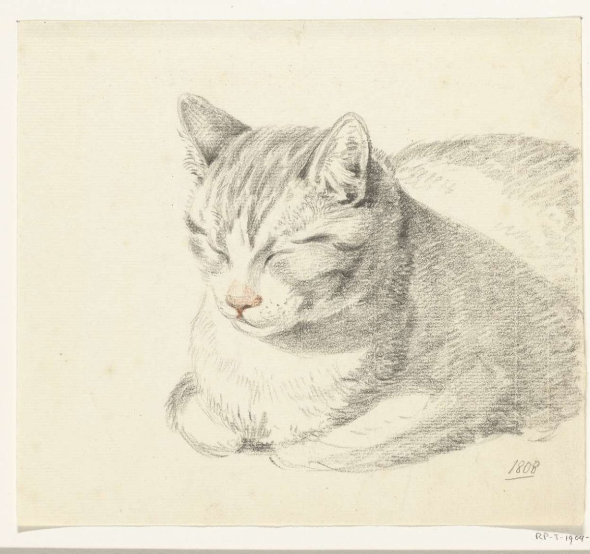 Reclining cat, angled from the front, Jean Bernard, 1808