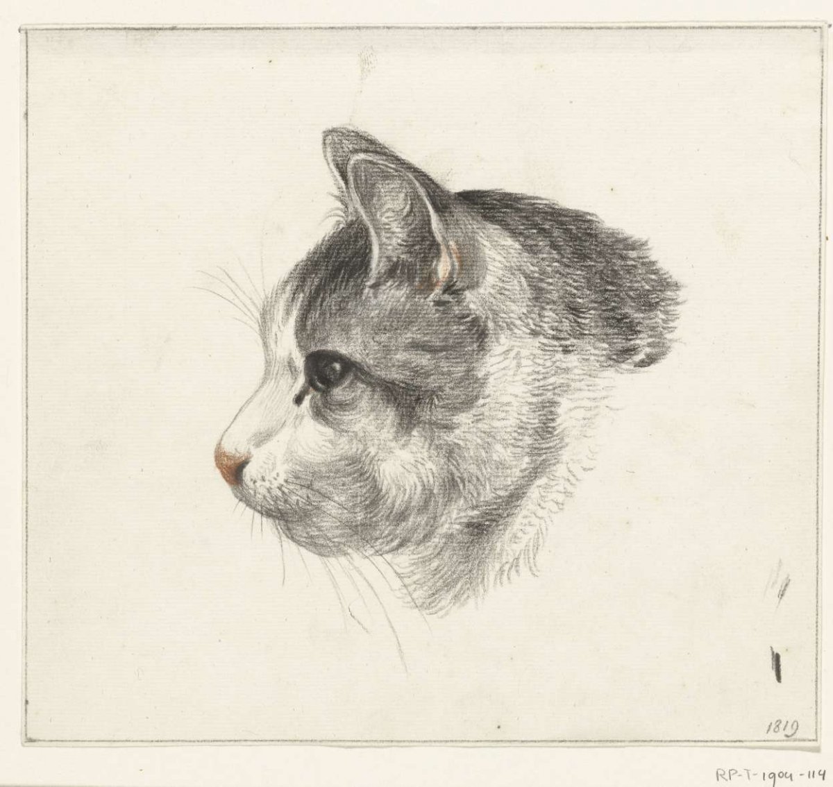Head of a cat, to the left, Jean Bernard, 1819