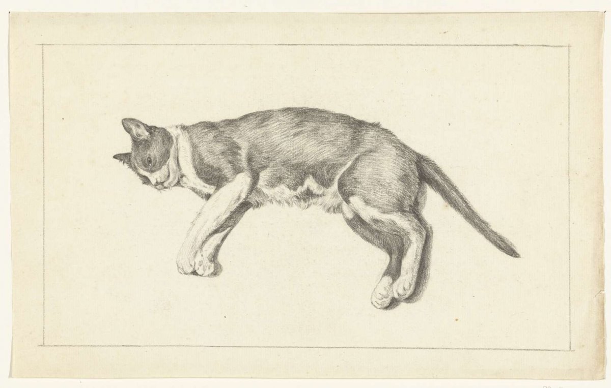 Reclining cat, to the left, seen from above, Jean Bernard, 1775 - 1833