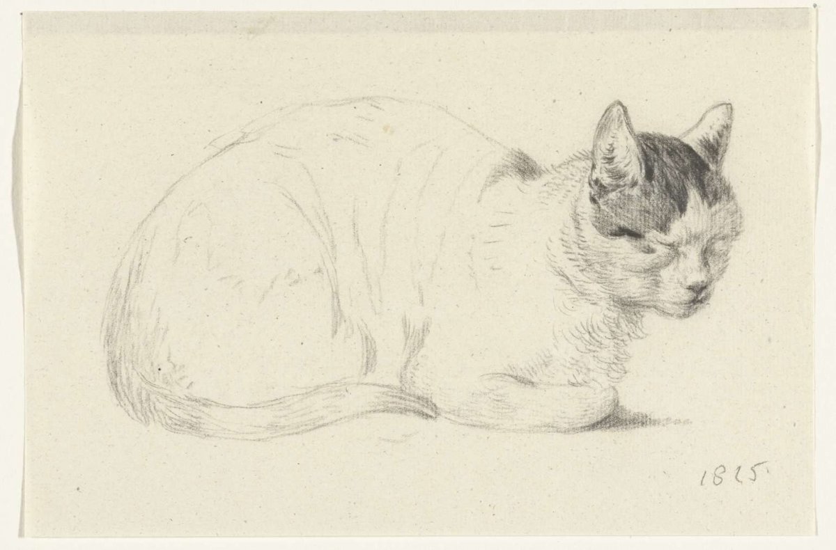 Reclining cat, to the right, Jean Bernard, 1815