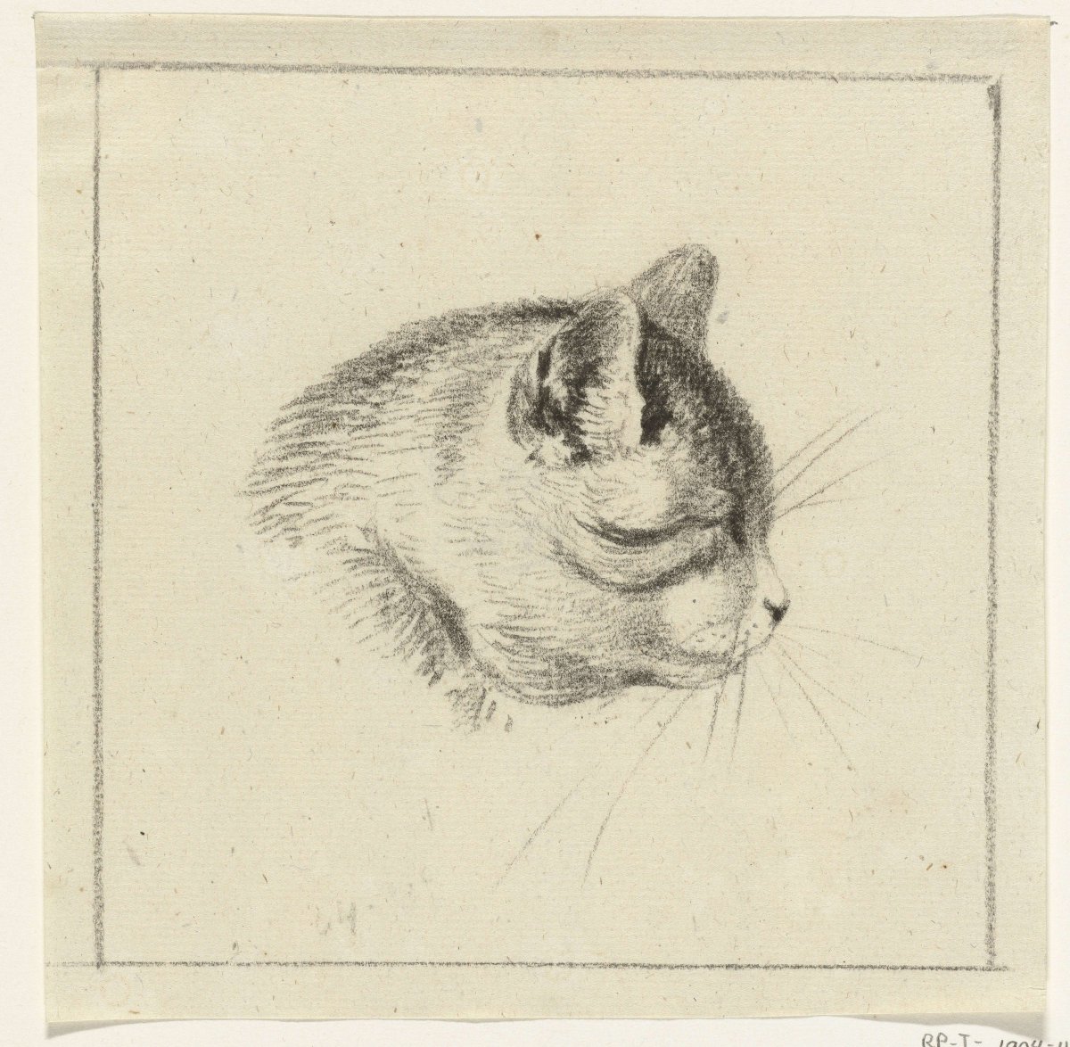 Head of a cat, to the right, Jean Bernard, 1775 - 1833