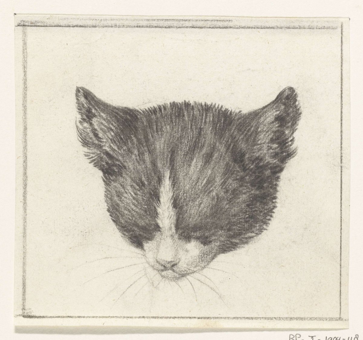 Head of a cat, Jean Bernard, 1775 - 1833