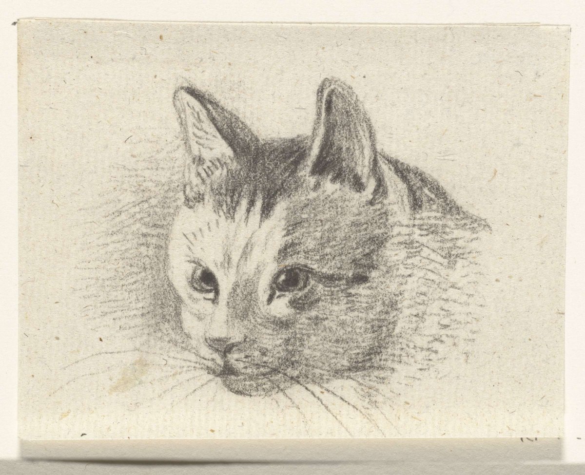 Head of a cat, Jean Bernard, 1775 - 1833