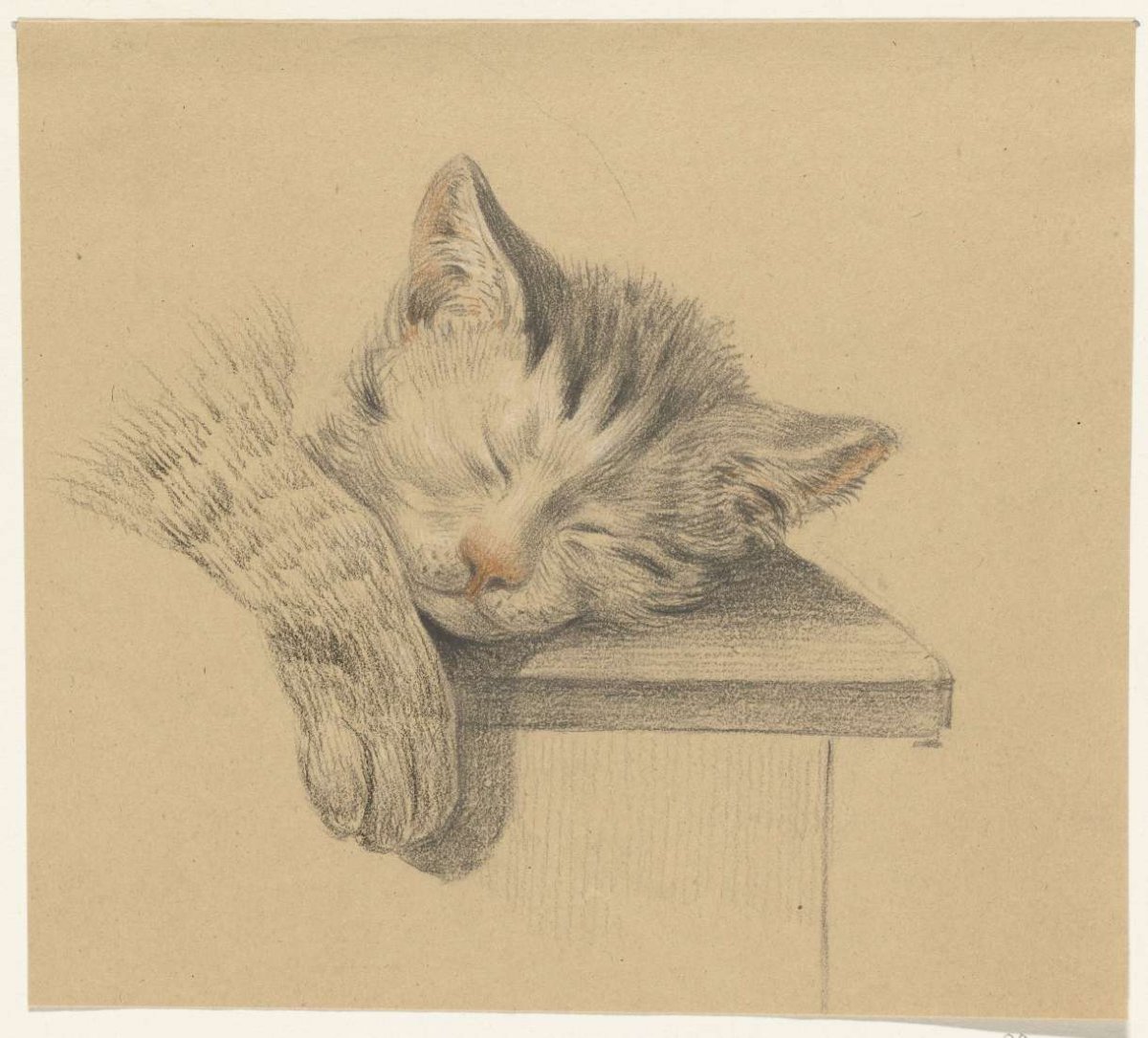 Head and paw of a sleeping cat, Jean Bernard, 1775 - 1833