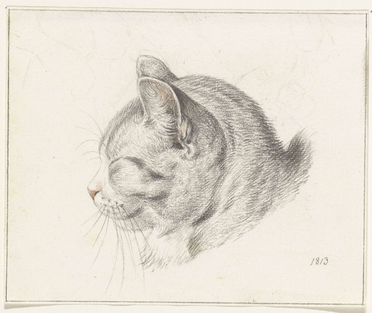 Head of a cat, to the left, Jean Bernard, 1813