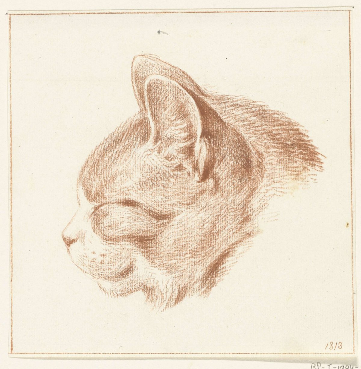 Head of a cat, to the left, Jean Bernard, 1813