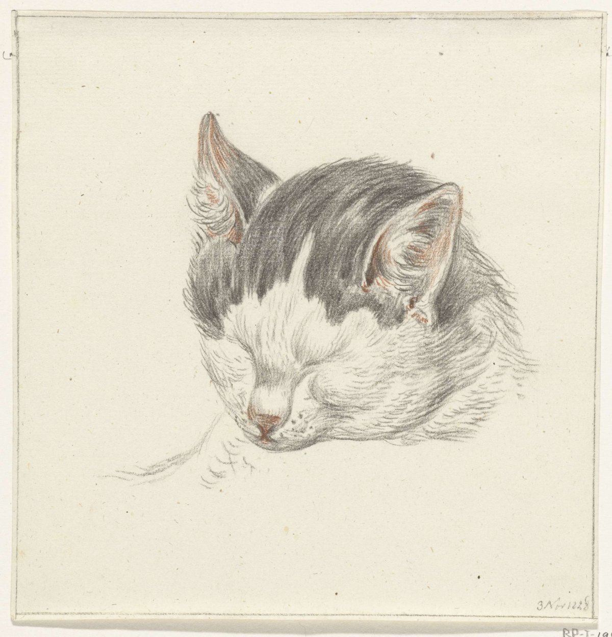 Head of a cat, from the front, Jean Bernard, 1828