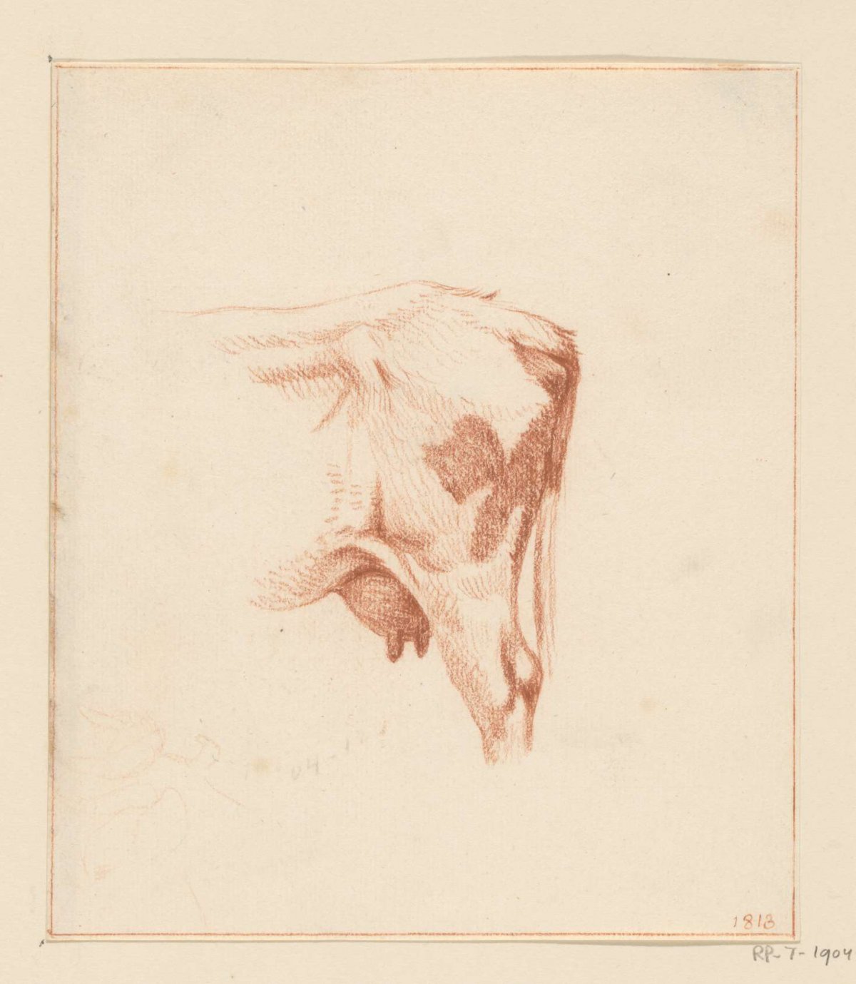 Hind legs of a cow, Jean Bernard, 1813