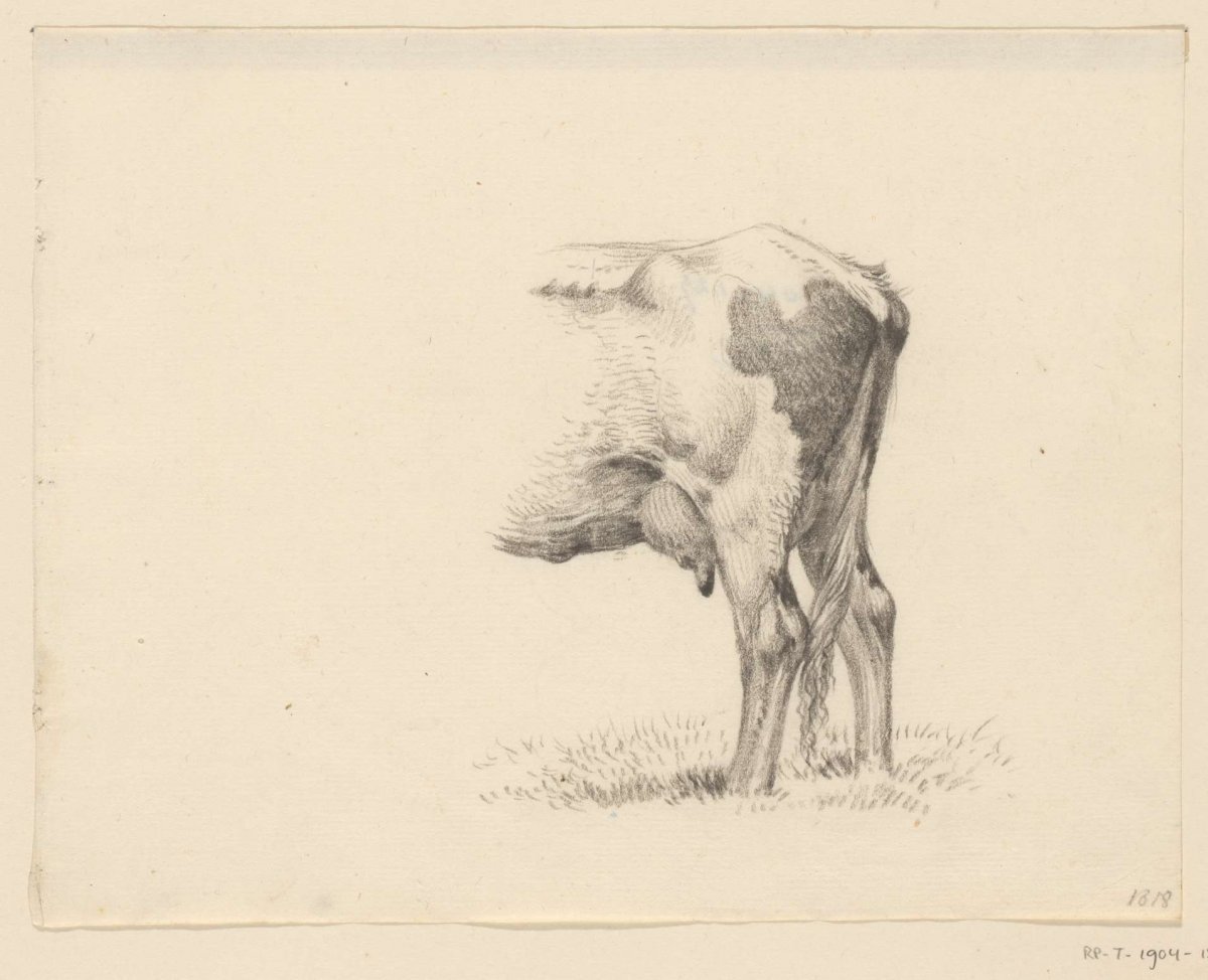 Hind legs of a cow, Jean Bernard, 1818