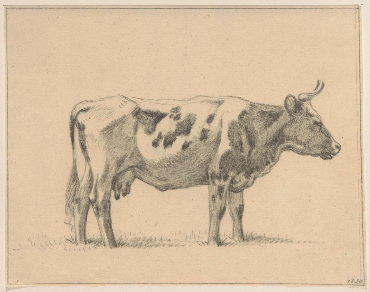 Standing cow, to the right, Jean Bernard, 1820