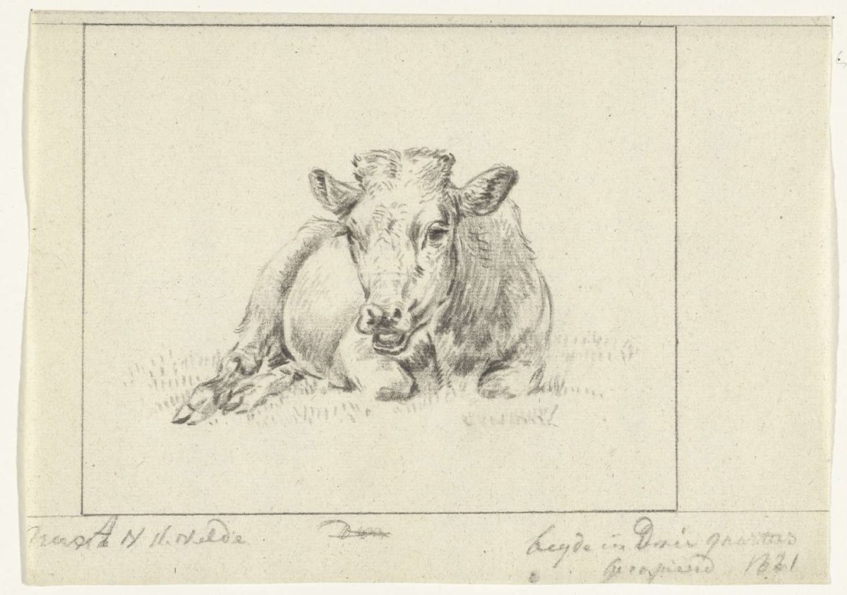 Reclining cow, from the front, Jean Bernard, 1821
