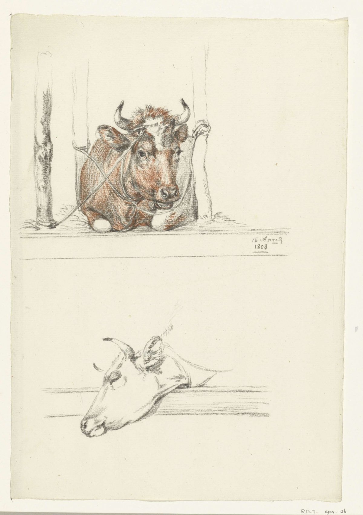 Cow in the barn and the head of a cow, Jean Bernard, 1808