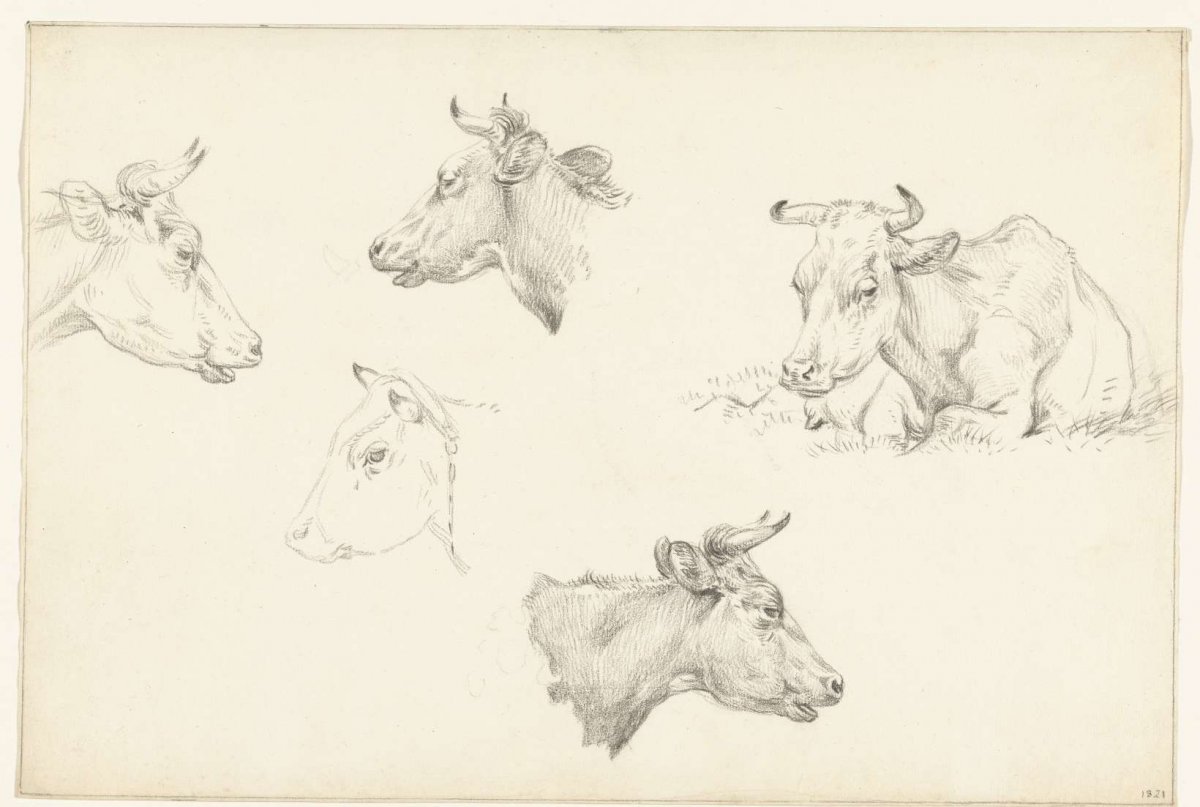 Four studies of the head of a cow and a reclining cow, Jean Bernard, 1821