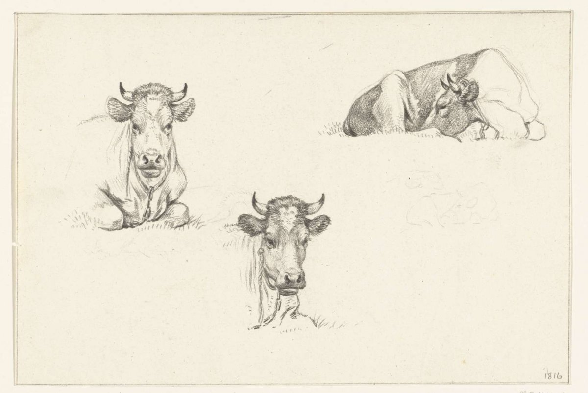 Three sketches of a reclining cow, Jean Bernard, 1816