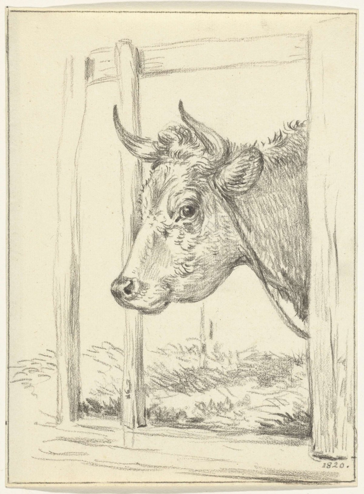 Head of a cow, in a barn, to the left, Jean Bernard, 1820