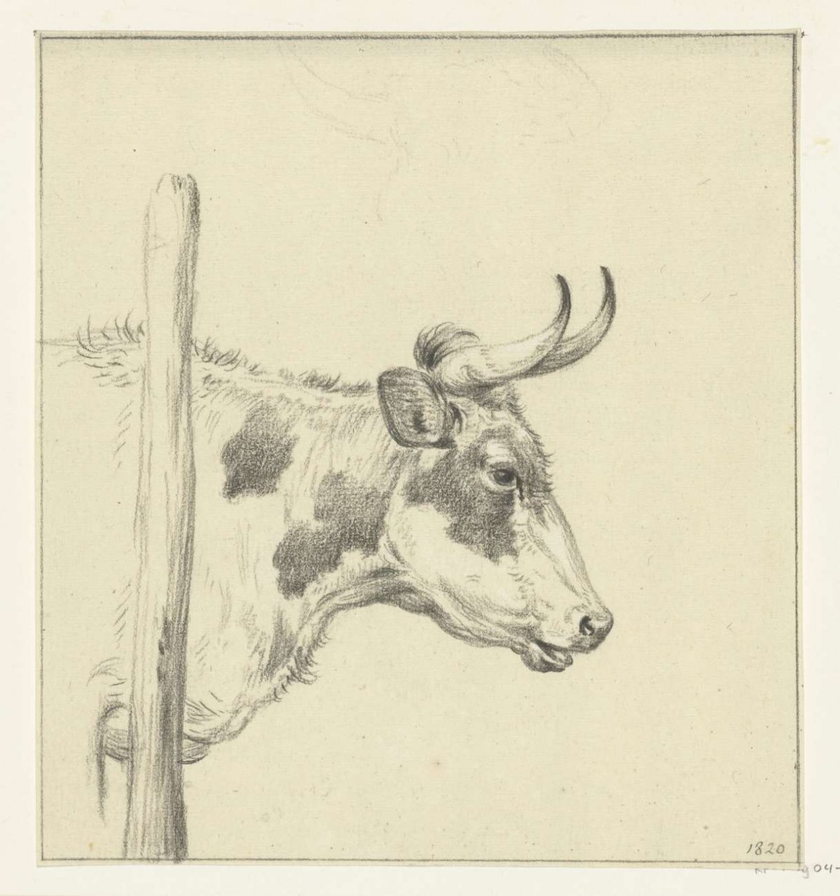 Head of a cow, to the right, Jean Bernard, 1820