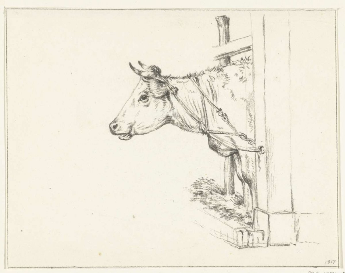 Head of a cow, to the left, Jean Bernard, 1817