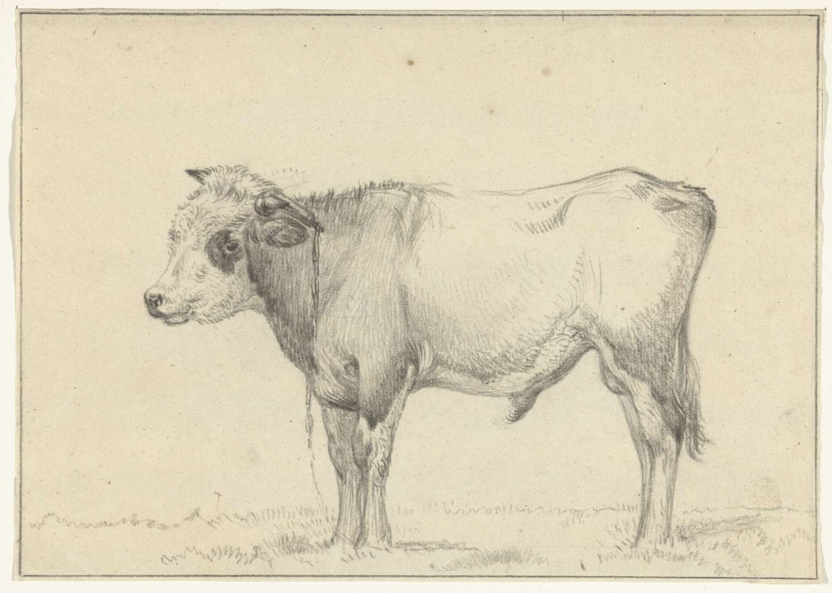 Standing young bull, to the left, Jean Bernard, 1775 - 1833