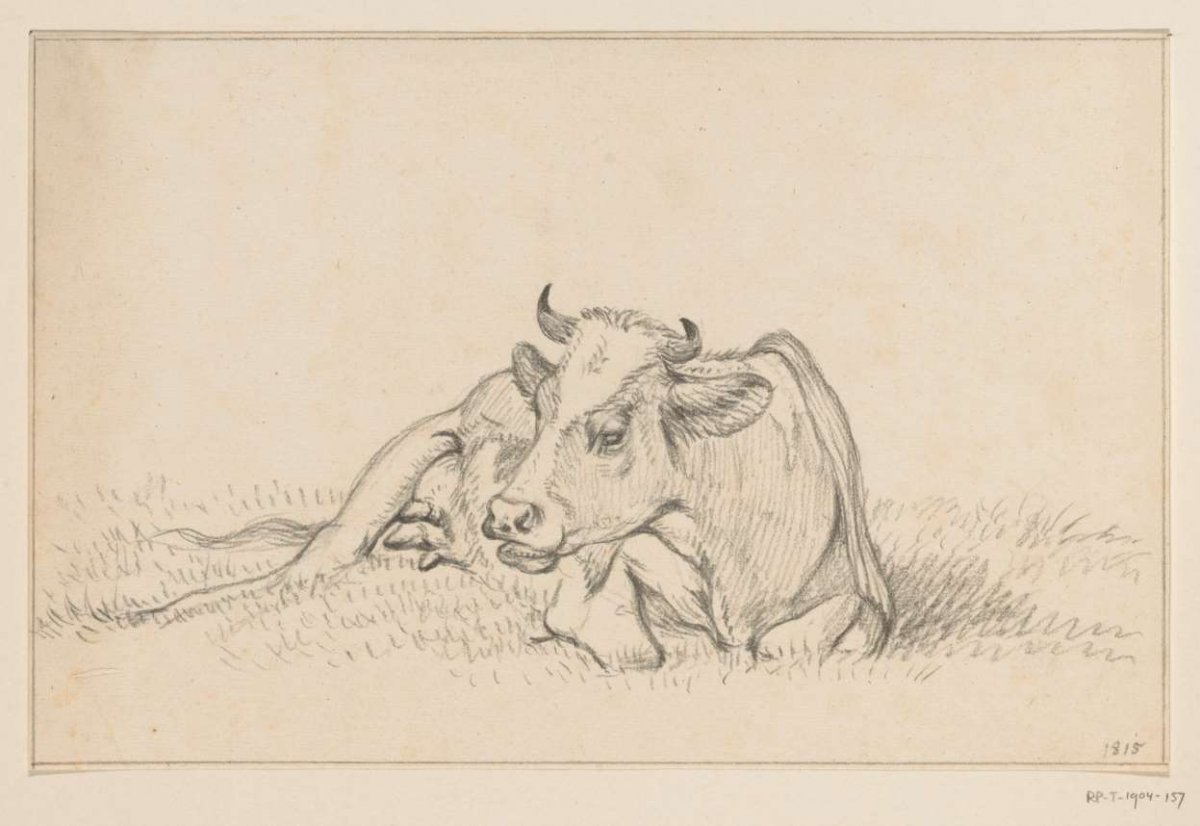 Reclining cow, from the front, Jean Bernard, 1815