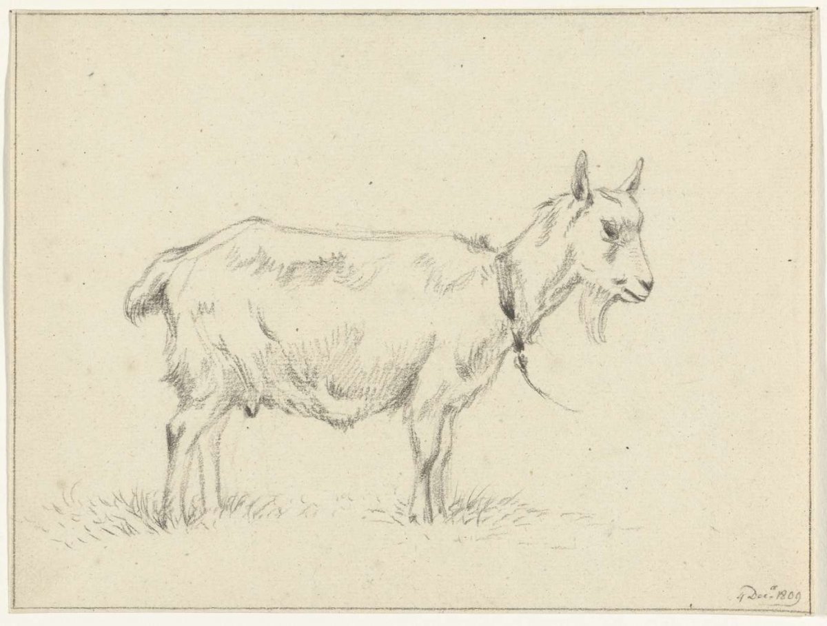 Standing goat, to the right, Jean Bernard, 1809