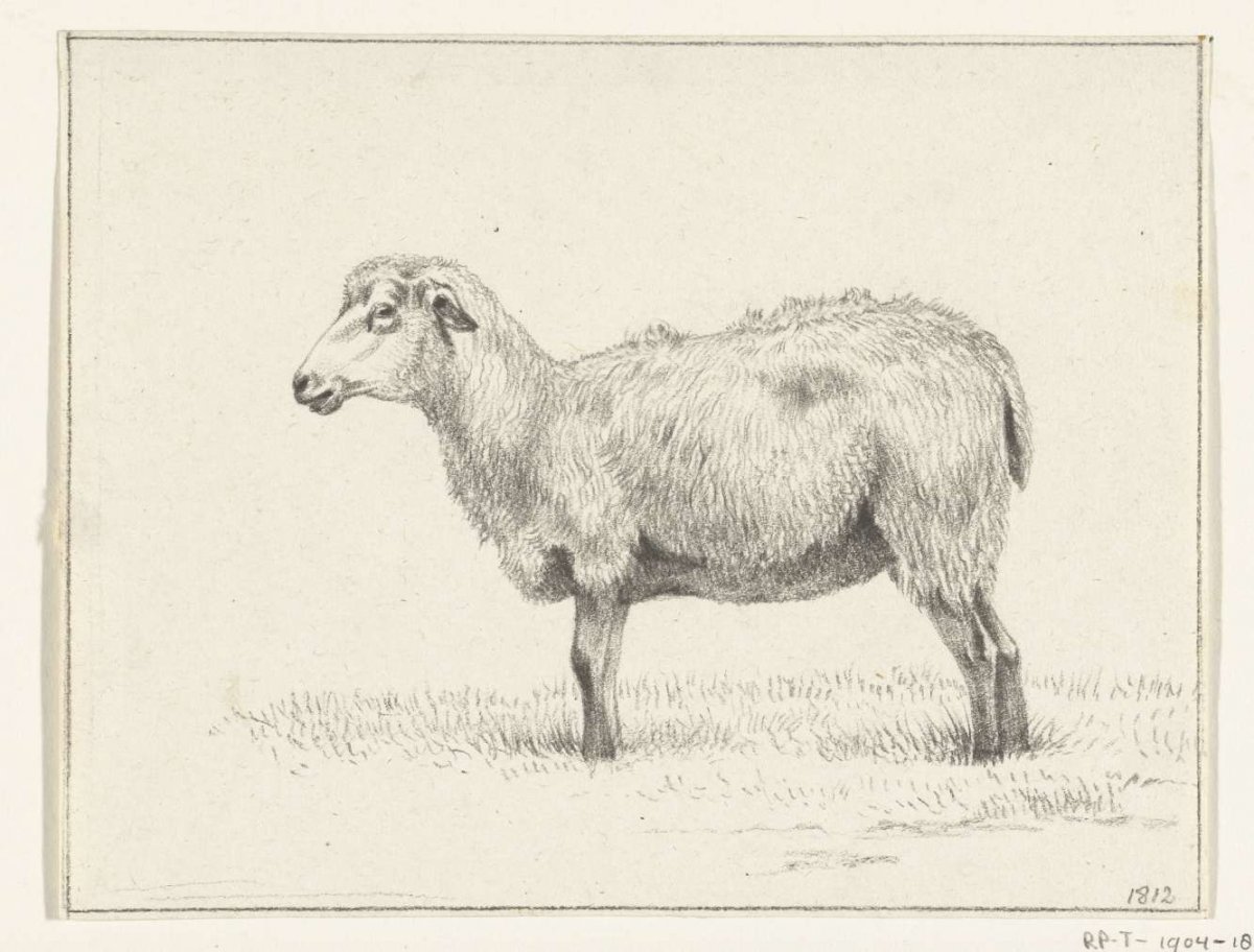 Standing sheep, to the left, Jean Bernard, 1812