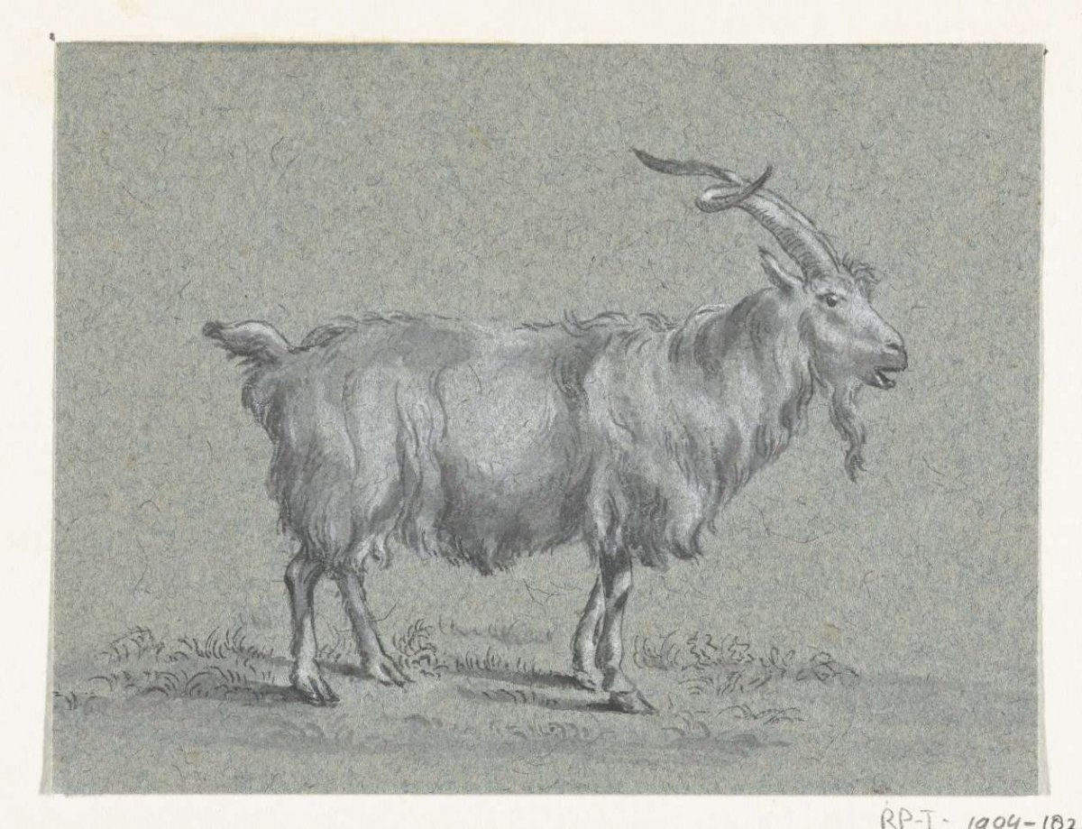 Standing goat, to the right, Jean Bernard, 1775 - 1833