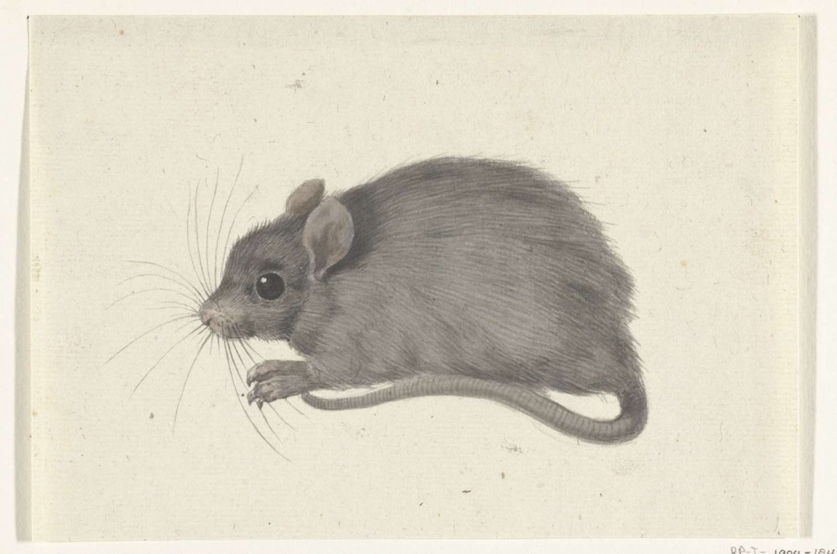 Mouse, to the left, Jean Bernard, 1775 - 1833