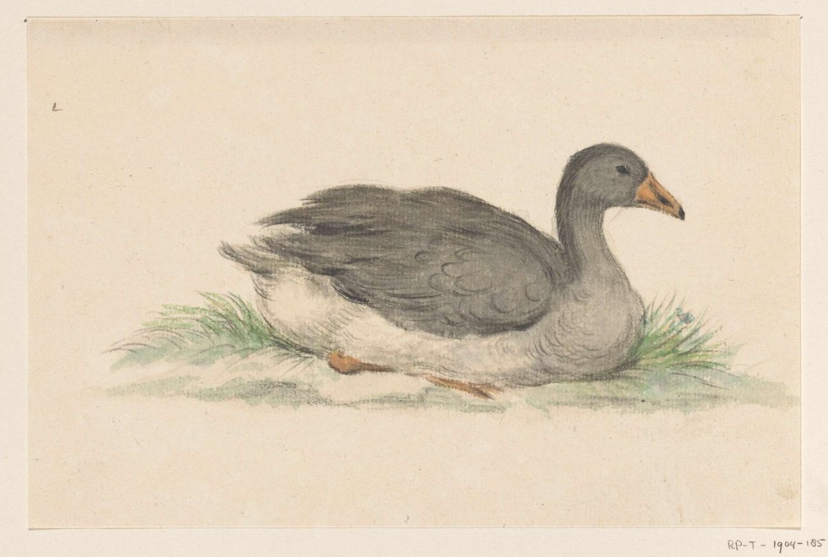 Duck, to the right, Jean Bernard, 1775 - 1833